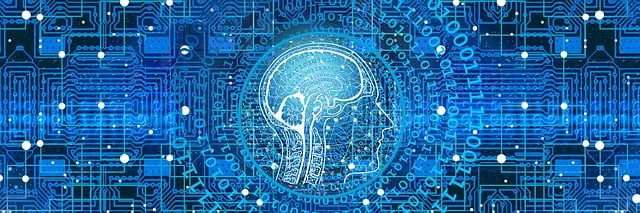 AI 数字人探店:连店都不用去,批量生成'真实种草'收割用户(配图来源:Pixabay 免费图库)